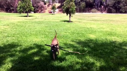 "American Ninja Warrior Junior" - Exclusive Clip