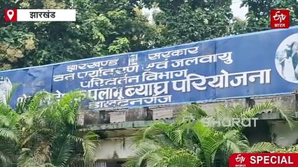 पलामू टाइगर रिजर्व के इलाके में कितने हथियार ? नक्सलियों के कमजोर होने के बाद कई नेटवर्क का खुलासा