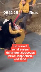 Incident entre un dresseur et un ours noir en Chine