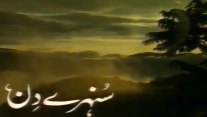 Sunehray Din..  Last Episode  Classic PTV Serial 🎭  Saleem Sheikh  Faraz Inam