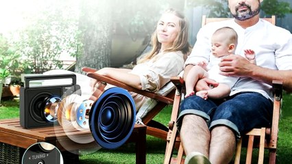 PRUNUS J-666 Radio Portable AM FM with 15W Bluetooth Speaker