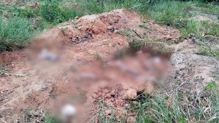 População de Totó Lida com Mau Cheiro Crescente do Cemitério Parque das Flores: um apelo por atenção das Autoridades