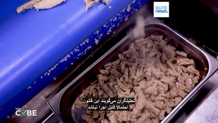 مزایا و معایب گوشت آزمایشگاهی؛ آیا ایتالیا مصرف «گوشت مصنوعی» را ممنوع می‌کند؟