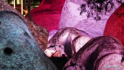 Natale a Bologna: megaliti di 14 metri trasformano Piazza Maggiore