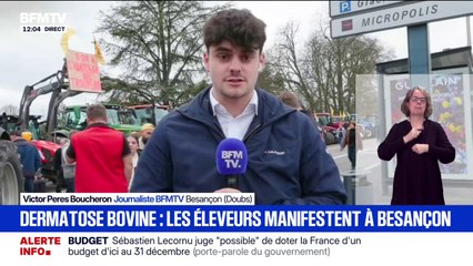 Des éleveurs manifestent à Besançon pour s'opposer à l'abattage des troupeaux entiers lorsqu'un bovin est atteint de dermatose
