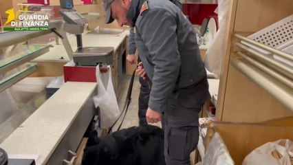 Bisceglie, macchinari "trasferiti" da società fallita a nuova impresa: sequestri per bancarotta e frode fiscale (10.12.25)