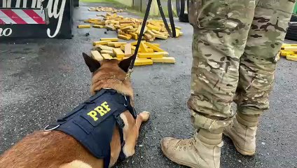 PRF apreende quase meia tonelada de droga escondida em pneus de carreta, na BR-277