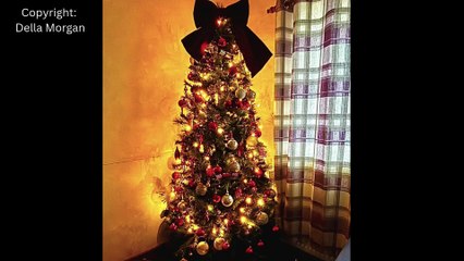 Picture This: ‘Begining to look a lot like Christmas!’