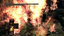 Dark Souls: Prepare to Die Edition online multiplayer - ps3