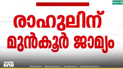 രാഹുലിൻ്റെ മുൻകൂർ ജാമ്യം.. അന്വേഷണ സംഘം അപ്പീൽ നൽകിയേക്കും...