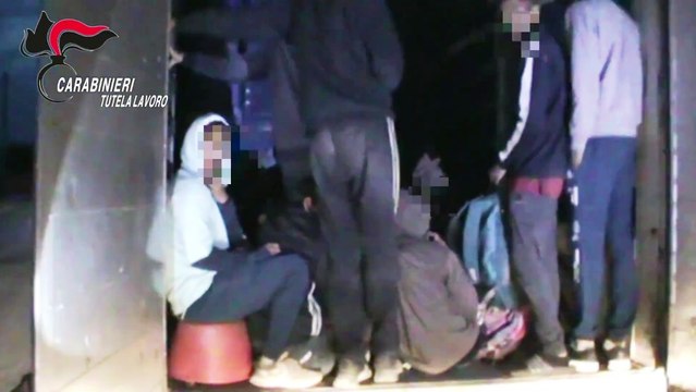 Villa Literno (CE) - Braccianti sfruttati nei campi: arrestati imprenditore agricolo e la moglie (10.12.25)