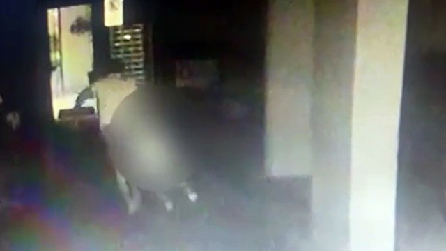 Polícia prende marido suspeito de espancar e jogar esposa do 10º andar