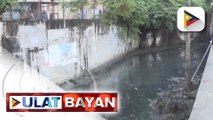 Bayanihan sa Estero Program, layong palakasin ang disaster resilience ng Metro Manila | ulat ni Bernard Ferrer