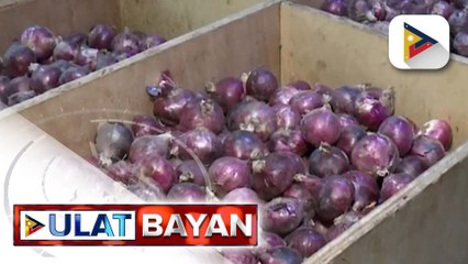 MSRP ng pulang sibuyas, itinaas sa P150/kg mula sa P120/kg