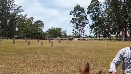 Pruebas de riendas... - A Poncho y Espuelas - Ruedo del Parque Rivera, Melo 07/12/2025