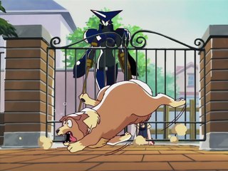 Brigadoon Marin to Melan 05