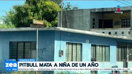 Menor de edad pierde la vida al ser atacada por un pitbull