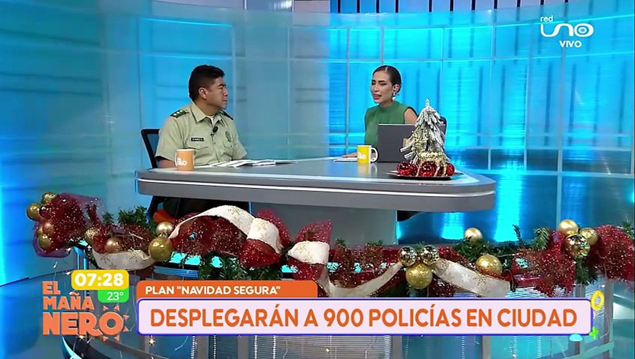 plan de seguridad