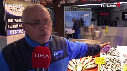 Balık tezgahlarında hamsi bolluğu