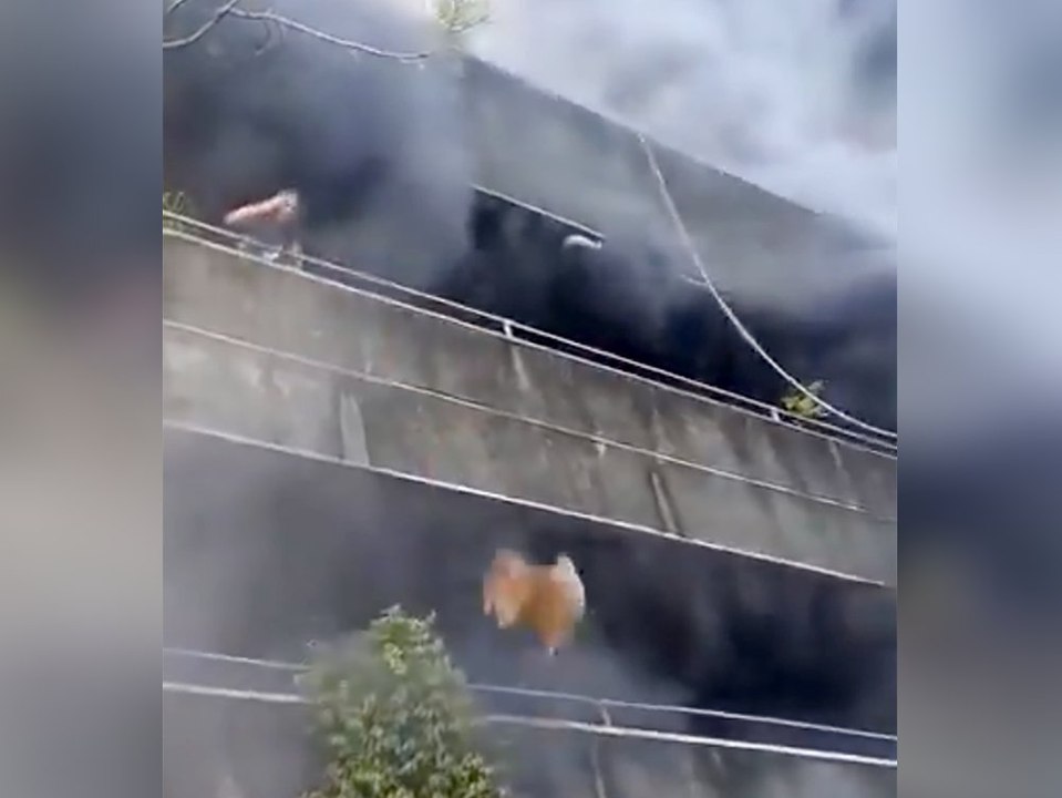 In Rauchhölle gefangen: Frau wirft ihre Hunde vom Balkon