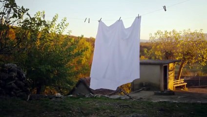 Divlje pčele epizoda 29