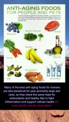 anti aging foods for people and pets