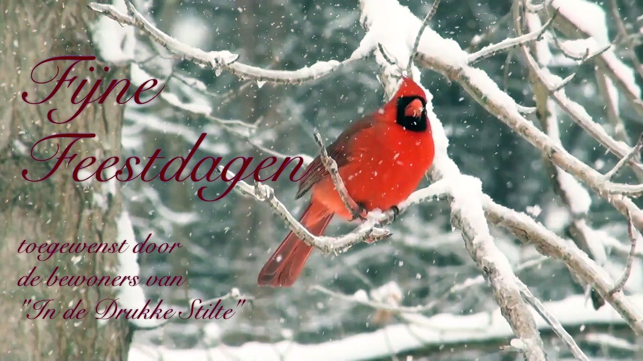 Fijne Feestdagen 2025/2026