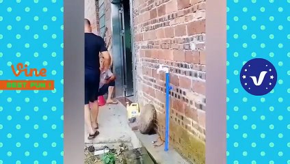 Best FUNNY Videos 2024 😂😁 1 Hours Funny Moments Of The Year Compilation#FunnyCompilation #FunnyFails #FunnyClips #BestFunnyMoments