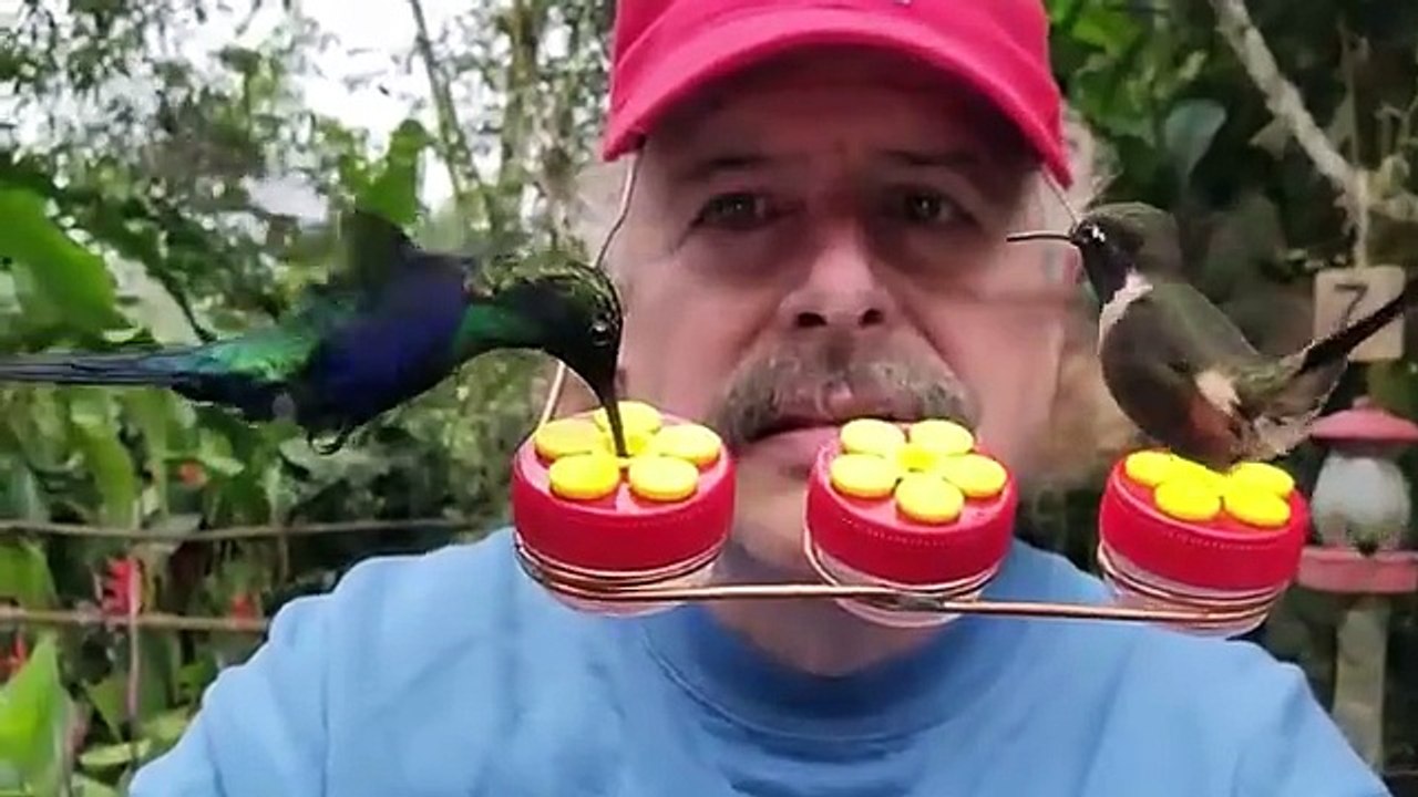 Craziest Animal Moments Caught On Camera...