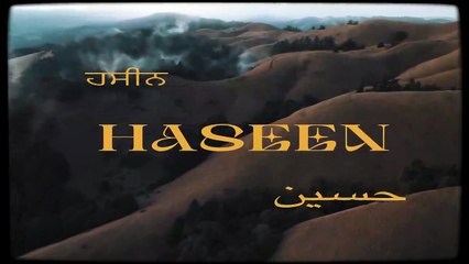 HASEEN - TALWIINDER, NDS, RIPPY (Official Visualizer)