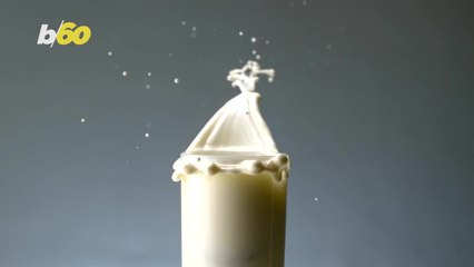 Mastering the Art of Cookie and Wine Pairings