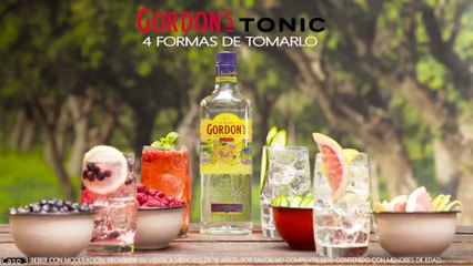publi gordons con channel
