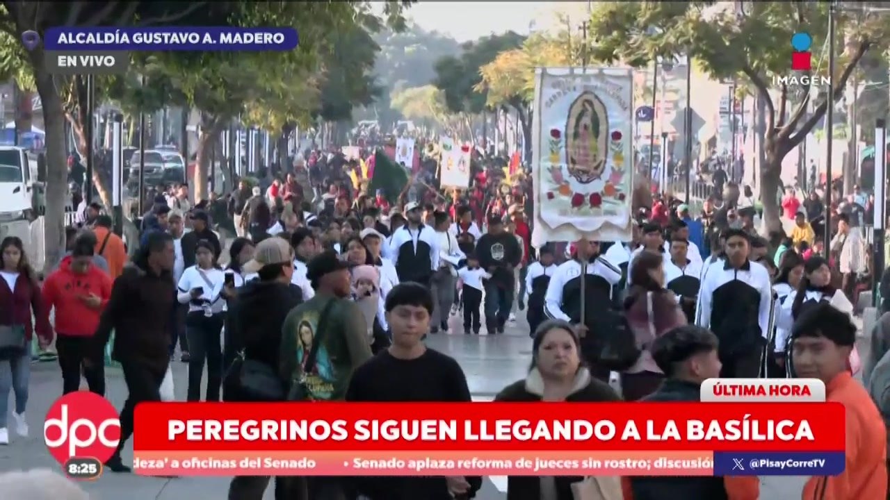 Así comienzan las llegadas masivas de peregrinos a la Basílica | DPC con Paola Rojas