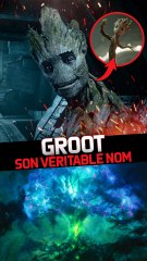 GROOT NE S'APPELLE PAS GROOT ?