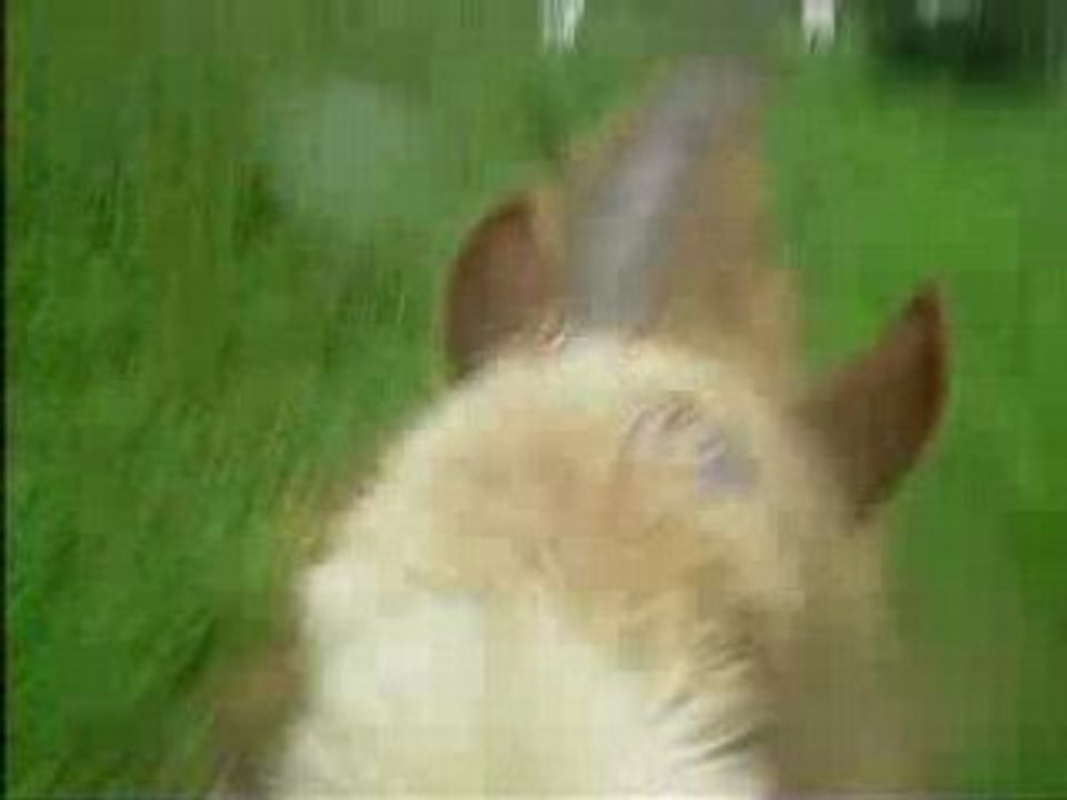 on rentre__ c pa facil de prendre un vidéo au tro a cru