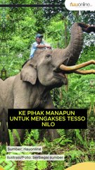 Curhat Zulhas Soal Banjir Aceh-Sumbar Dikaitkan dengan Tesso Nilo: Di Riau tak Ada Bencana