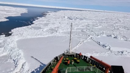 Chinese icebreakers battle rare ice conditions to approach China's Zhongshan Station