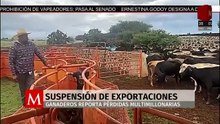 Ganaderos de Durango reportan pérdidas millonarias por cierre de exportación de ganado