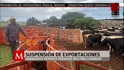 Ganaderos de Durango reportan pérdidas millonarias por cierre de exportación de ganado