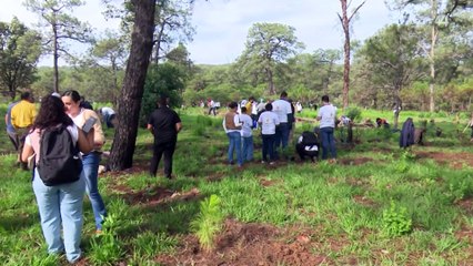 Denuncian grave caso de criminalización contra la ambientalista Raquel Gutiérrez Nájera