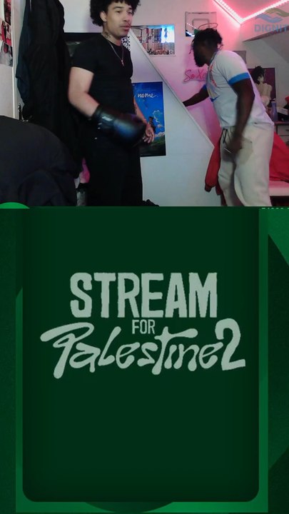 1000€ dans ma cagnotte perso pour Streamforpalestine2