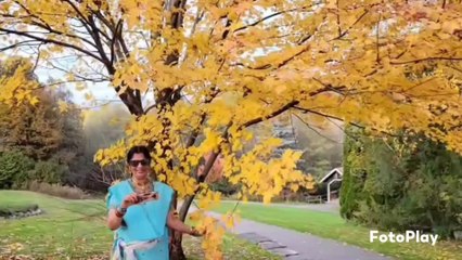 Gori Tera Gaon Bada Pyara by Chitralekha Dixit