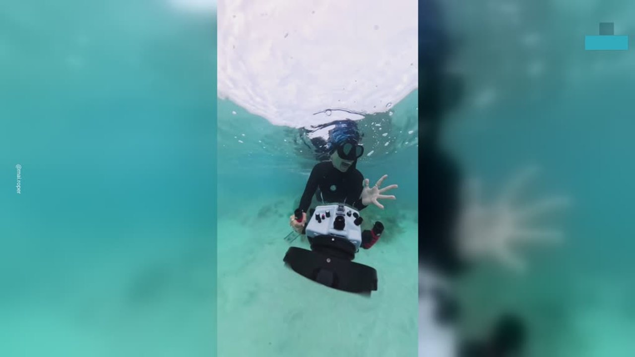 Cute Encounter With Endangered Sea Lions