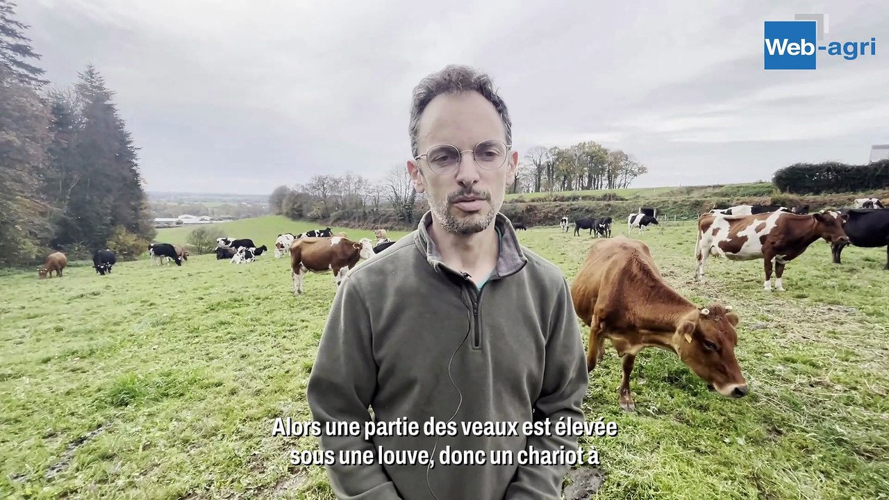 De 70 à 120 vaches : le tout herbe prend de l'ampleur chez Gérard Grandin