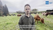 De 70 à 120 vaches : le tout herbe prend de l'ampleur chez Gérard Grandin