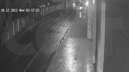 Câmera flagra árvore gigante caindo no Centro de Cascavel