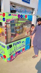 Walnuts funny content