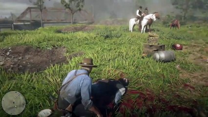 Red Dead Redemption 2 PS4 Gameplay 2018