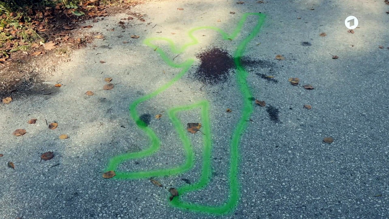 #36 LandKrimi  Steirermord