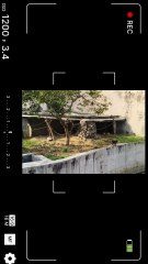 🐒✨ From the lush rainforests of the Western Ghats, this majestic monkey reminds us why protecting wildlife truly matters 🌿💚